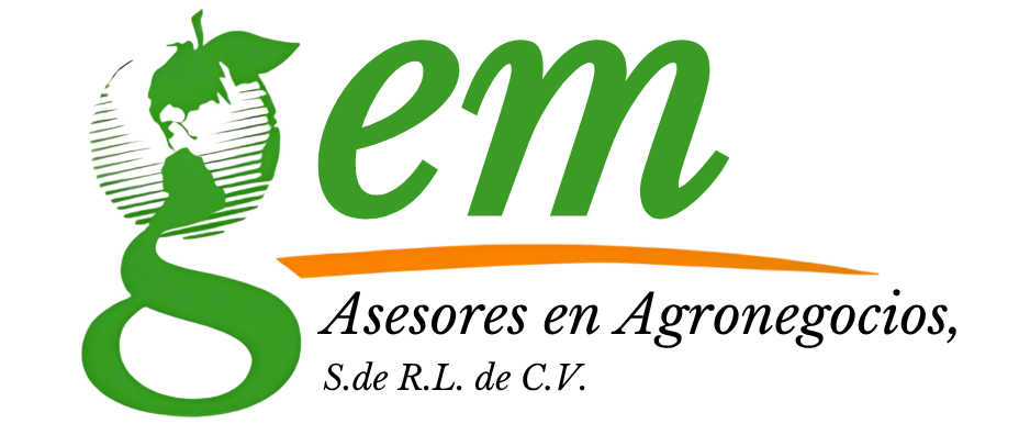 GEM Asesores en Agronegocios